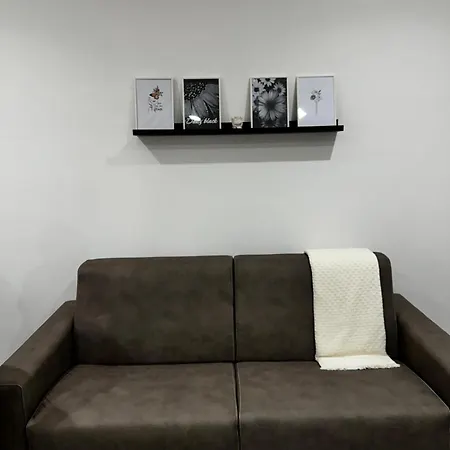 Apartment Black Daisy *