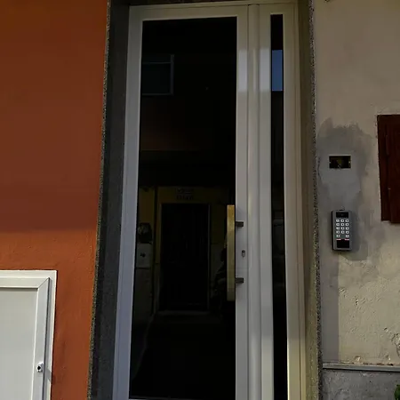 Black Daisy Bernalda