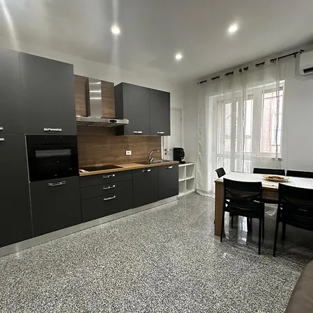 Black Daisy Bernalda