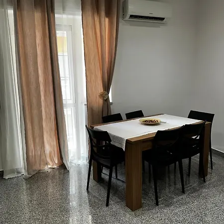 Black Daisy Bernalda