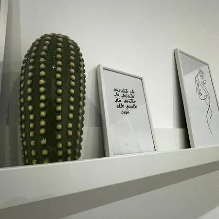 Apartamento Black Daisy *