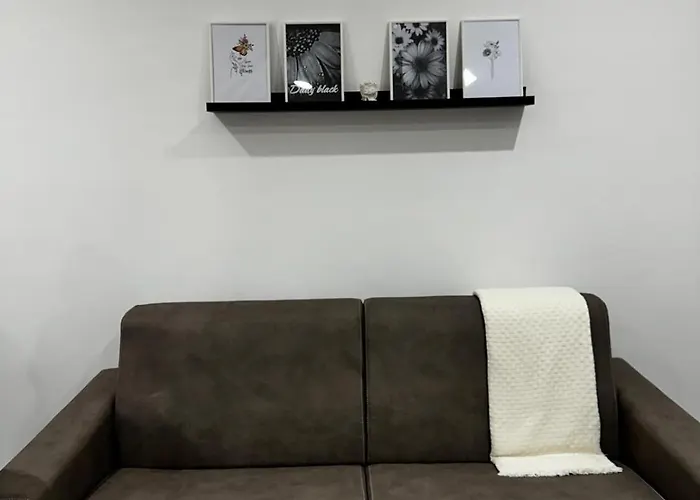 Апартаменты Black Daisy *