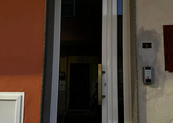 Black Daisy Bernalda