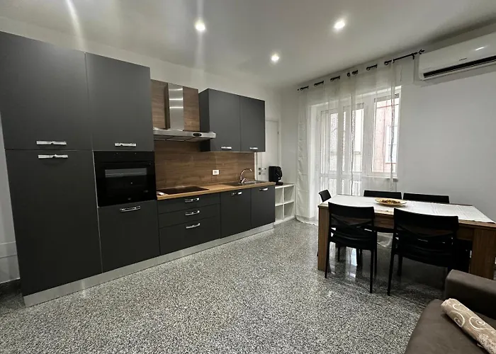 Black Daisy Bernalda